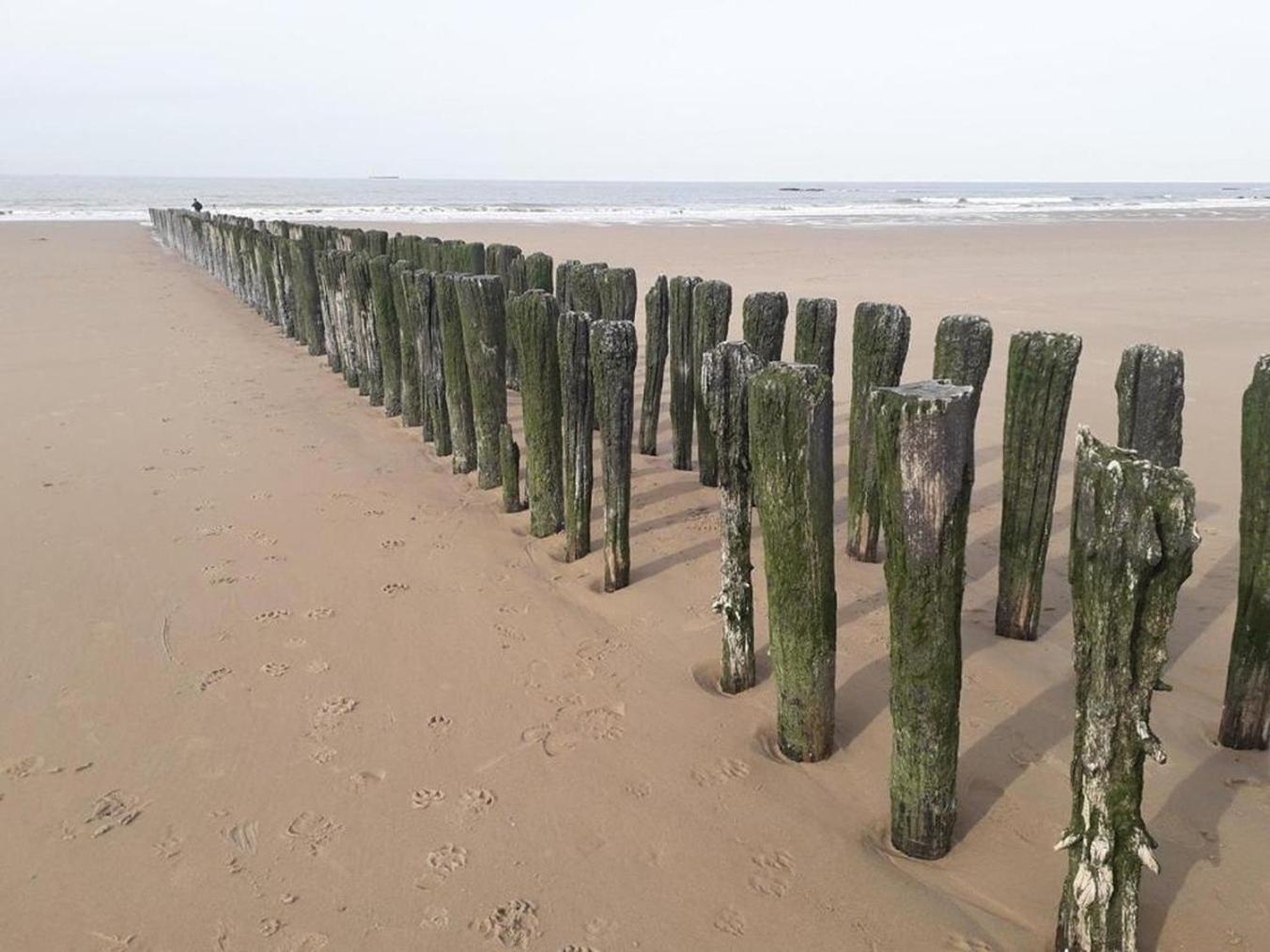 Maison Noomi Knokke-Heist Luaran gambar